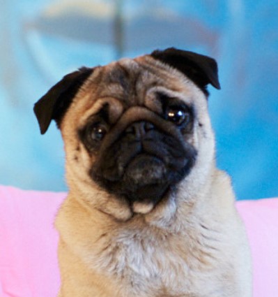 Frida Kremer ist auch bei remote works