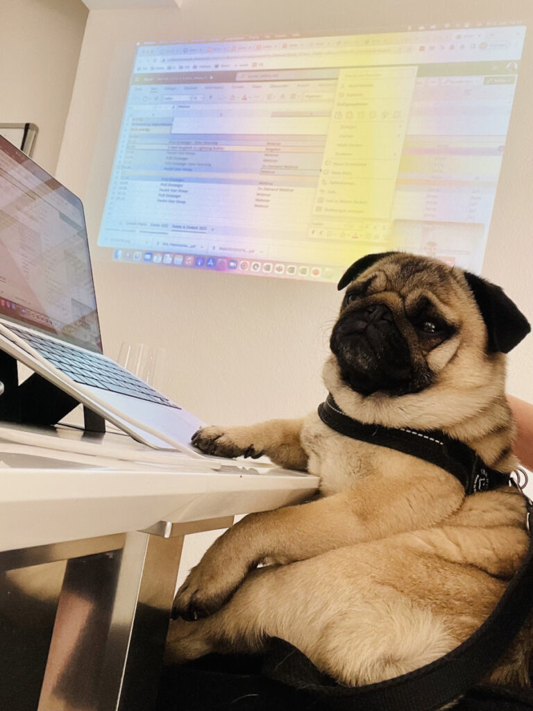 Remote Pug